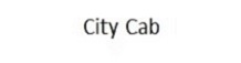 City Cab Electric Rickshaw
